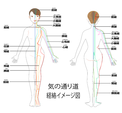 東洋医学における12本の経絡の位置を示す図