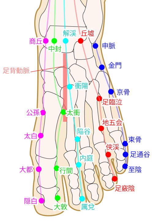 足のツボと経絡が表記されたイラスト