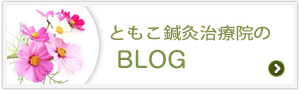 ともこ鍼灸治療院BLOG