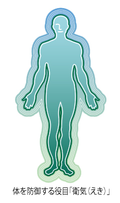 東洋医学における衛気の巡りと防御機能を示す図