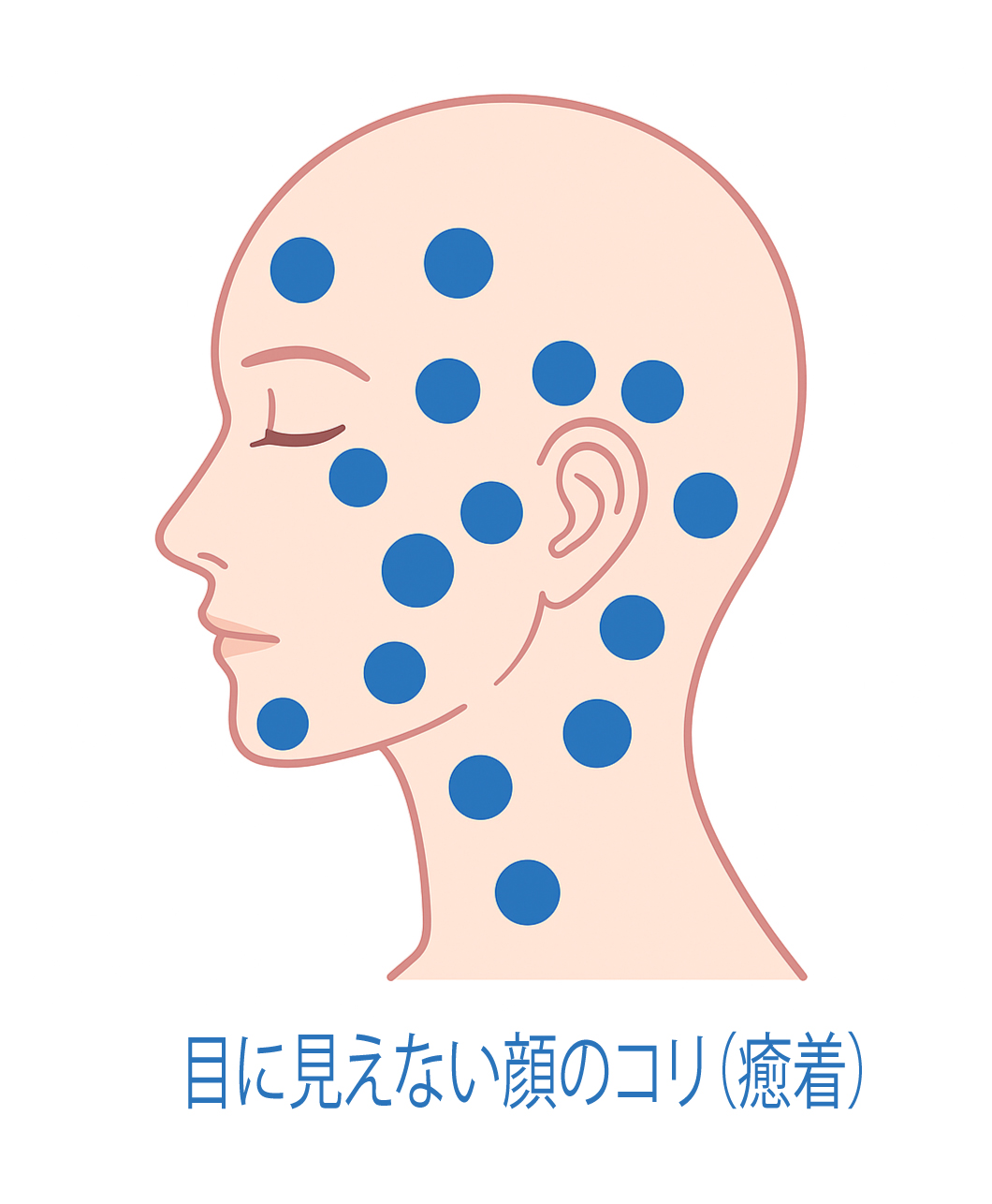 顔のむくみやたるみに関係するツボの位置図