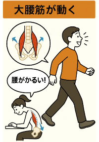 大腰筋リリースの施術イメージ