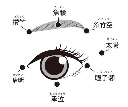 目の周囲にあるツボと筋肉の関係図