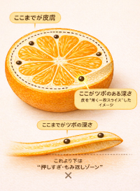 みかんで見るツボの深さイメージ
