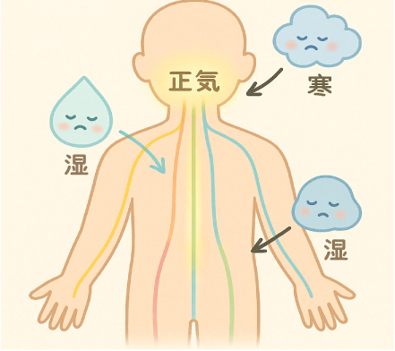 湿邪・寒邪などの外邪のイメージ