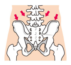 腰痛施術で深層筋にアプローチする筋膜リリースの様子｜ともこ鍼灸治療院（大倉山）